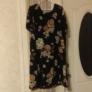 Sag Harbor Woman plus size 24W dress.